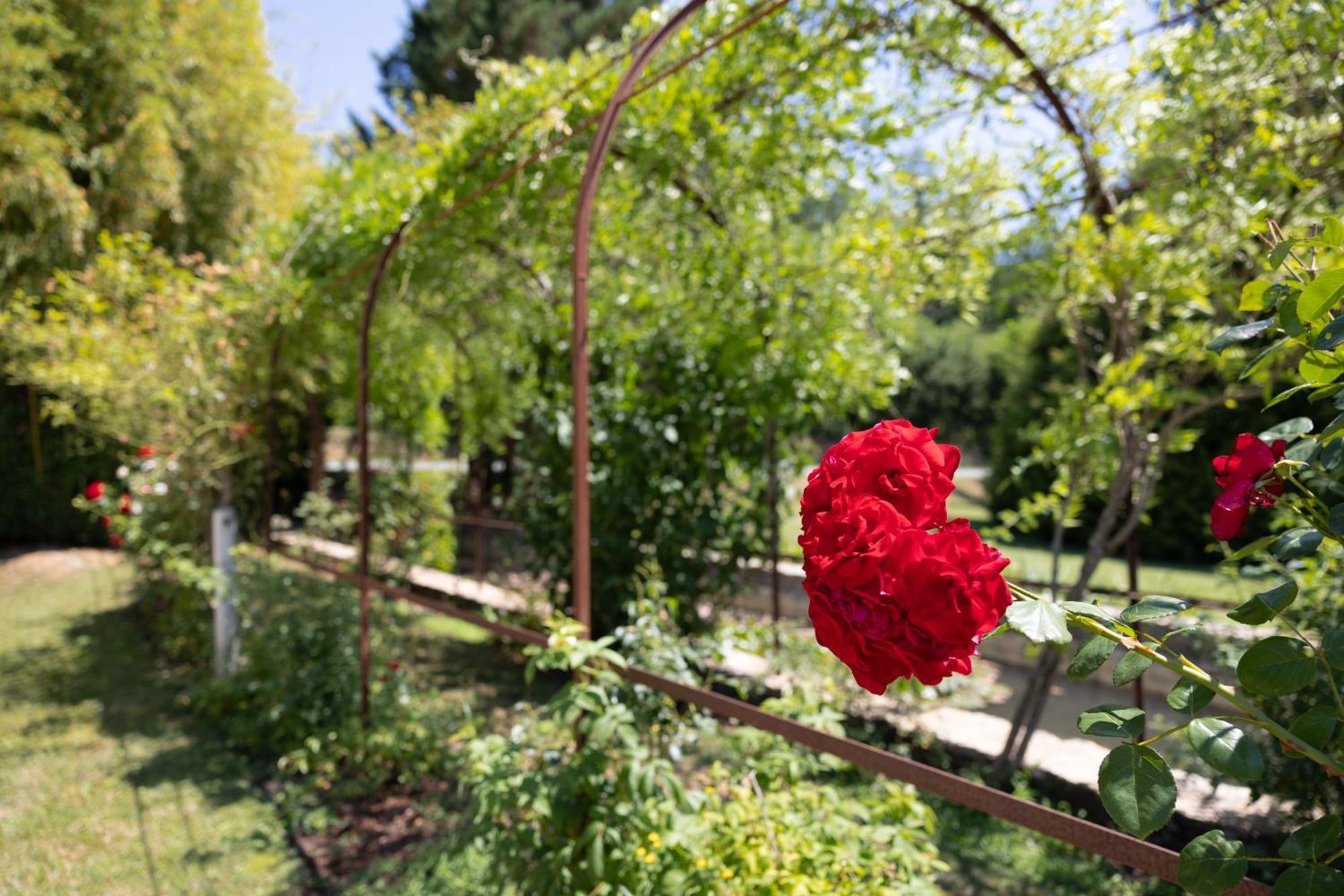 Le Moulin De Mitou Hotel